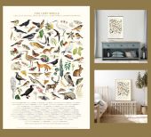 The Lost Spells Glossary Poster