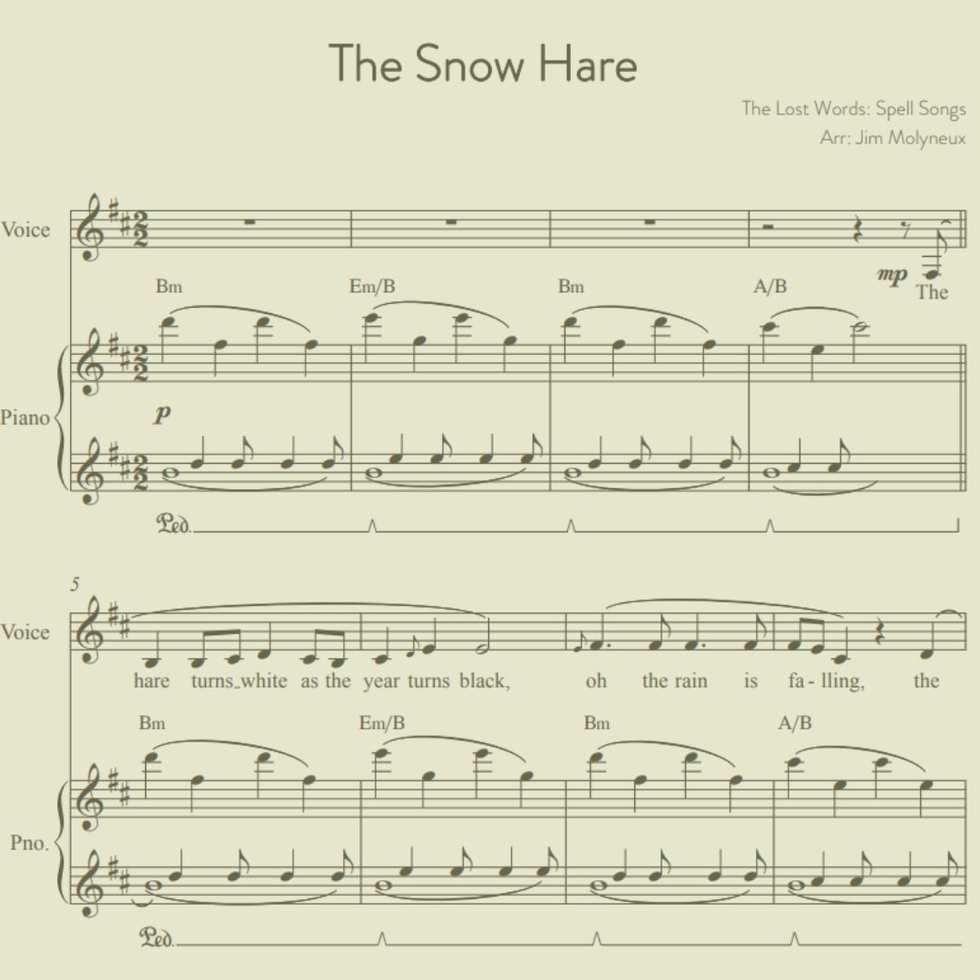 The Snow Hare