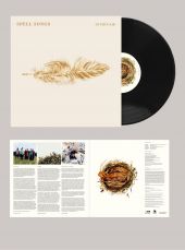In Thin Air: Gatefold LP